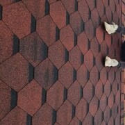 ���������� ������, ���� ������� ����, 28 ���, ������������ ��� ������, ����� � ���������, ���������