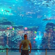  ,   Konstantin, 40 ,     , c 