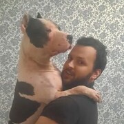 ���������� ���������, ���� ������� �������, 31 ���, ������������ ��� c�������� ���������