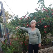  ,   , 61 ,     , c 