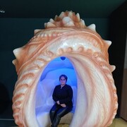  ,   , 37 ,     , c 