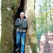 ���������� ����, ���� ������� ������, 45 ���, ������������ ��� ������, ����� � ���������