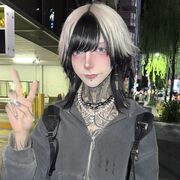 ���������� �����-���������, ���� ����� ������, 24 ����, ������������ ��� ������, ����� � ���������, c�������� ���������, ���������