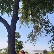 ���������� ������-��-����, ���� ������� ������, 46 ���, ������������ ��� ������, ����� � ���������, c�������� ���������