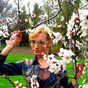 ���������� ������, ���� ������� ����, 45 ���, ������������ ��� ������, ����� � ���������, c�������� ���������, ���������