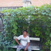  ,   ˸, 36 ,   