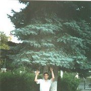  ,   , 60 ,   ,   , c 