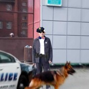 ���������� ��������, ���� ������� ����, 48 ���, ������������ ��� ������, ����� � ���������