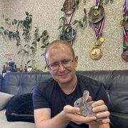 ���������� �����������, ���� ������� �����, 34 ����, ������������ ��� ����� � ���������, c�������� ���������