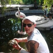  ,   Roman, 43 ,   ,   , c 