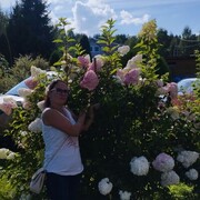  ,   , 41 ,   c 