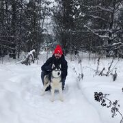  ,   Viktor, 33 ,   ,   