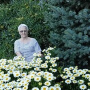  ,   , 75 ,  