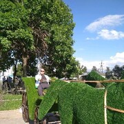 ���������� �������, ���� ������� �������, 39 ���, ������������ ��� ������, ����� � ���������, c�������� ���������