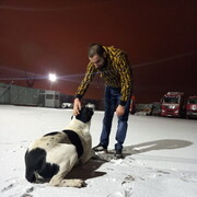 ���������� �����������, ���� ������� Sahak, 31 ���, ������������ ��� ������, ����� � ���������