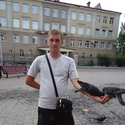  ,   , 41 ,  