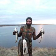 ���������� �����������, ���� ������� ������, 47 ���, ������������ ��� c�������� ���������, ���������