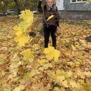  -,   , 71 ,   