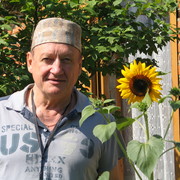  ,   , 65 ,   
