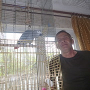  ,   , 64 ,   