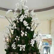  ,   , 57 ,   ,   , c 