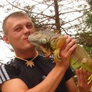 ���������� ����������, ������� ��������, 44