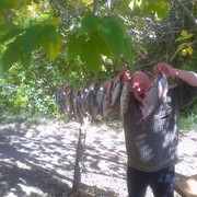  ,   , 68 ,   ,   , c 