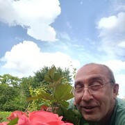  ,   , 53 ,   ,   