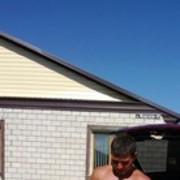 ���������� �����, ���� ������� �������, 36 ���, ������������ ��� ������