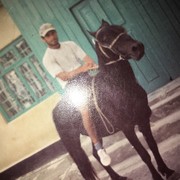 ���������� �����-���������, ���� ������� ������, 44 ����, ������������ ��� ������, ����� � ���������, c�������� ���������