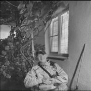   ,   , 22 ,   c 