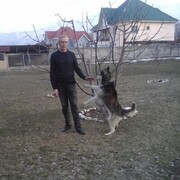  ,   , 58 ,   ,   