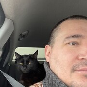 ���������� ������, ���� ������� �����, 38 ���, ������������ ��� ����� � ���������, c�������� ���������