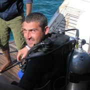 ���������� ���������, ���� ������� ���������, 38 ���, ������������ ��� ������