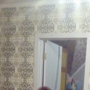 ���������� �����������, ���� ������� �������, 49 ���, ������������ ��� ������, ����� � ���������, c�������� ���������