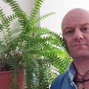 ���������� ������, ���� ������� Ҹ��, 41 ���, ������������ ��� ������, ����� � ���������, c�������� ���������, ���������