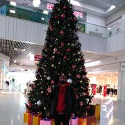 ���������� ������ ��������, ���� ������� ����, 48 ���, ������������ ��� ������, ����� � ���������, c�������� ���������, ���������