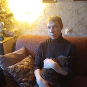 ���������� ����, ���� ������� �����, 38 ���, ������������ ��� ������, ����� � ���������