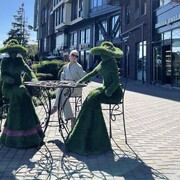 ���������� �����������, ���� ������� ������, 47 ���, ������������ ��� ����� � ���������, c�������� ���������