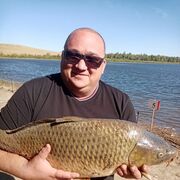 ���������� ������, ���� ������� ��������, 42 ����, ������������ ��� ������, ����� � ���������, c�������� ���������