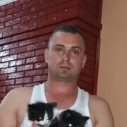 ���������� �������, ���� ������� ������, 41 ���, ������������ 