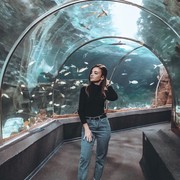   ,  , 24