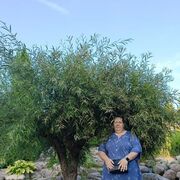  ,   , 44 ,   c , 