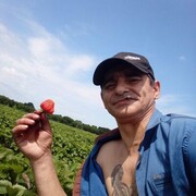  --,   , 48 ,   ,   