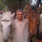  ,   , 41 ,   