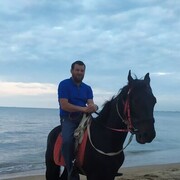 ���������� ���������, ���� ������� �����, 43 ����, ������������ ��� ������, ����� � ���������