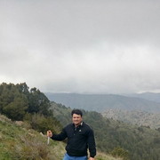  ,  hamid, 42