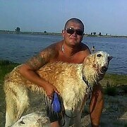 ���������� ������, ������� ������, 46