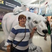 ���������� ��������, ���� ������� ��������, 55 ���, ������������ ��� c�������� ���������