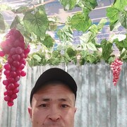 ���������� ������, ���� ������� ��������, 41 ���, ������������ ��� ������, ����� � ���������